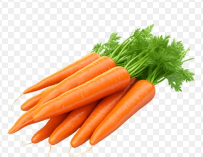 Carrot
