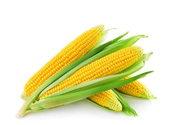Fresh Corn
