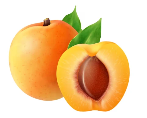 Fresh Apricot ..