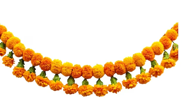 Marigold flowers garland ..